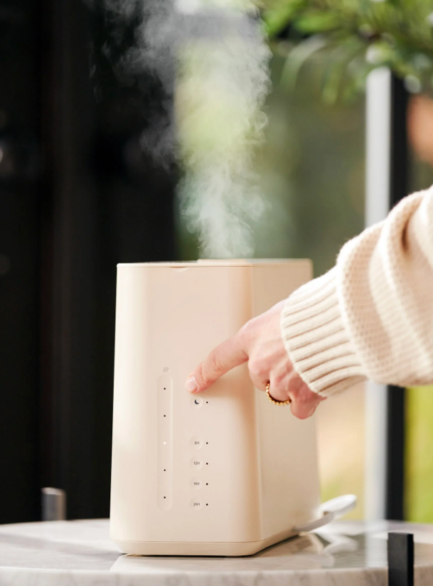 Cloud Humidifier