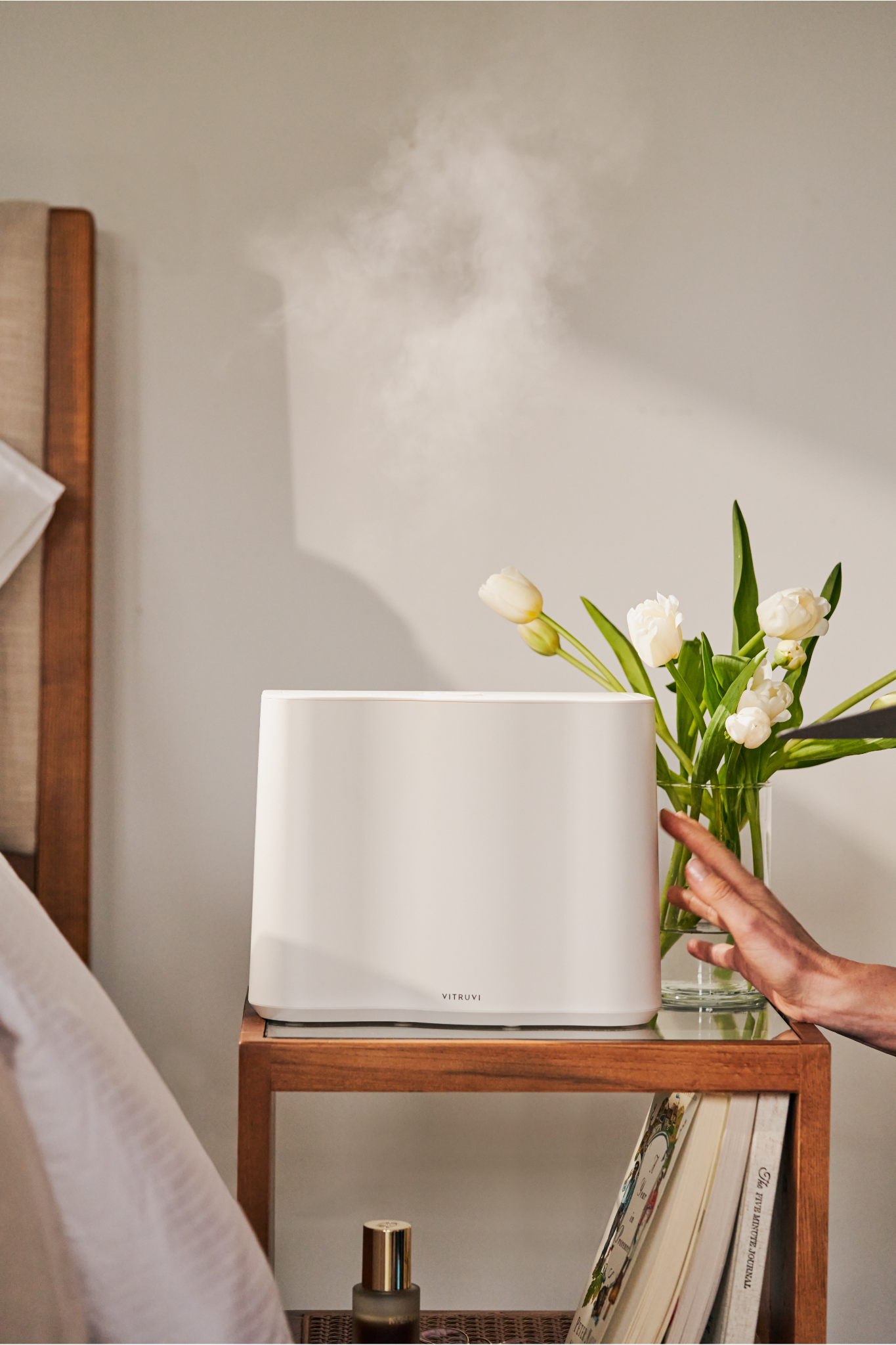 Cloud Humidifier