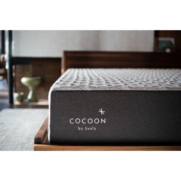 Cocoon by Sealy Mattress